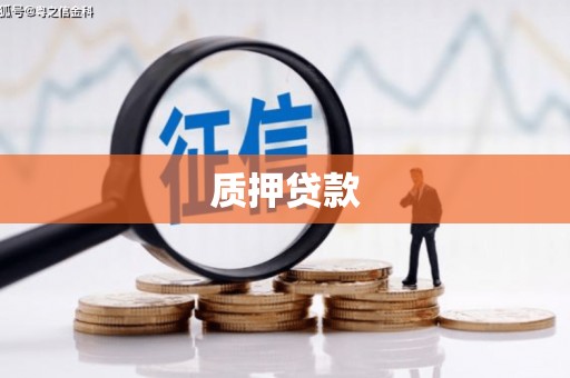 赣州质押贷款