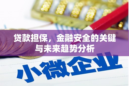 赣州贷款担保，金融安全的关键与未来趋势分析