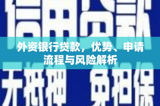 赣州外资银行贷款，优势、申请流程与风险解析