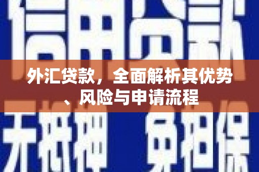 赣州外汇贷款，全面解析其优势、风险与申请流程