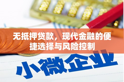 赣州无抵押贷款，现代金融的便捷选择与风险控制