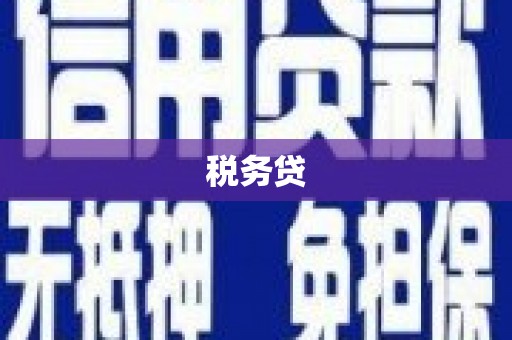 赣州税务贷