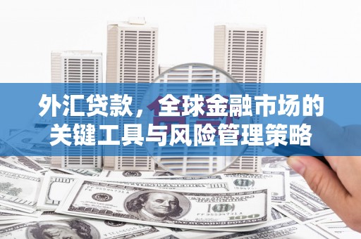 赣州外汇贷款，全球金融市场的关键工具与风险管理策略