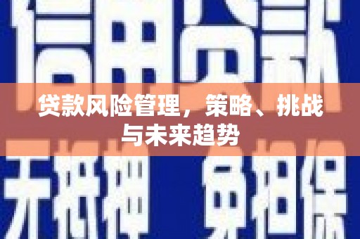 赣州贷款风险管理，策略、挑战与未来趋势