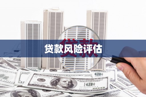 赣州贷款风险评估