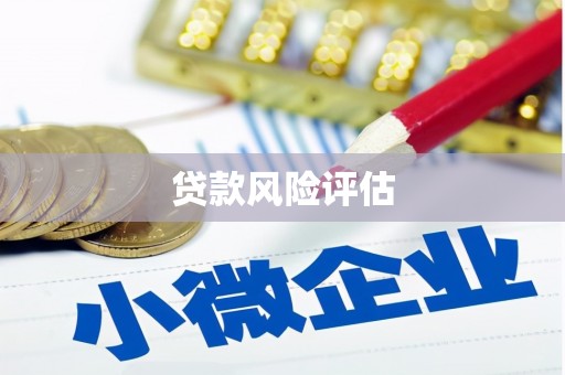 赣州贷款风险评估