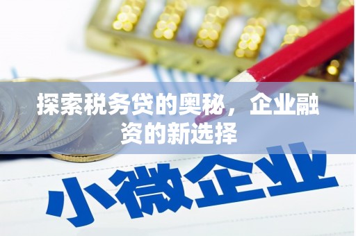 赣州探索税务贷的奥秘，企业融资的新选择
