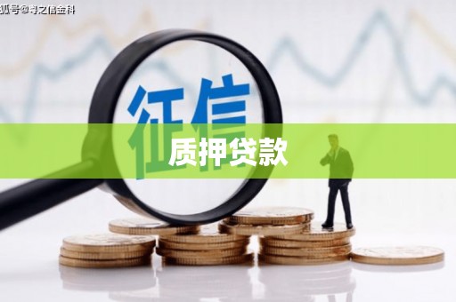 赣州质押贷款