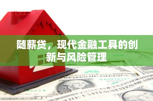 赣州随薪贷，现代金融工具的创新与风险管理