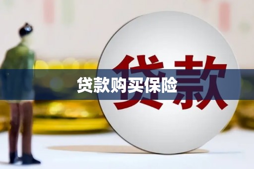 赣州贷款购买保险