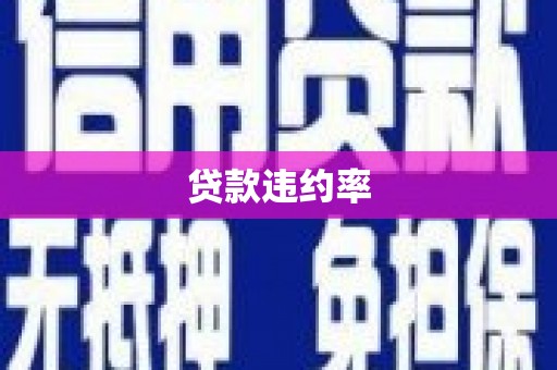 赣州贷款违约率