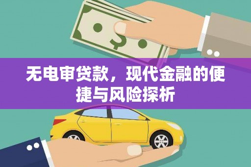 赣州无电审贷款，现代金融的便捷与风险探析