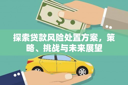 赣州探索贷款风险处置方案，策略、挑战与未来展望