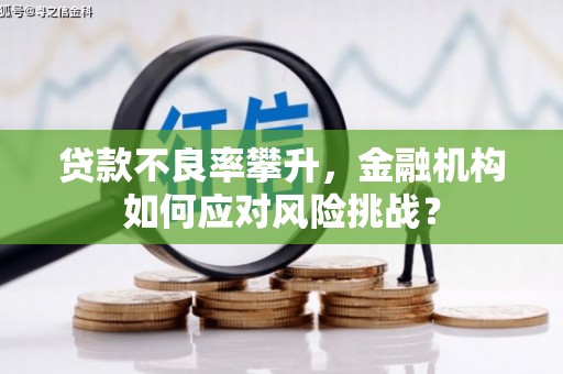 赣州贷款不良率攀升，金融机构如何应对风险挑战？