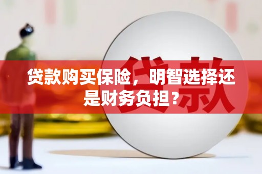 赣州贷款购买保险，明智选择还是财务负担？