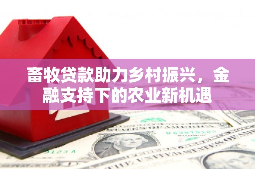 赣州畜牧贷款助力乡村振兴，金融支持下的农业新机遇