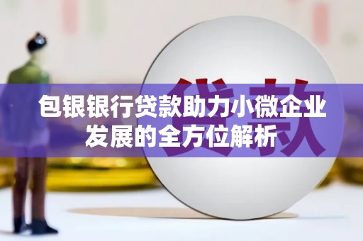 赣州包银银行贷款助力小微企业发展的全方位解析 赣州包银银行贷款助力小微企业发展的全方位解析