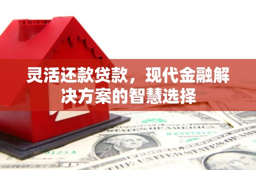 赣州灵活还款贷款，现代金融解决方案的智慧选择