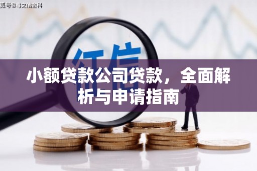 赣州小额贷款公司贷款，全面解析与申请指南