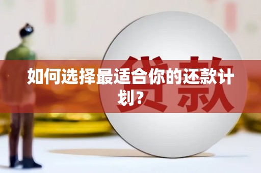 赣州如何选择最适合你的还款计划？