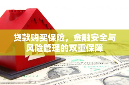 赣州贷款购买保险，金融安全与风险管理的双重保障