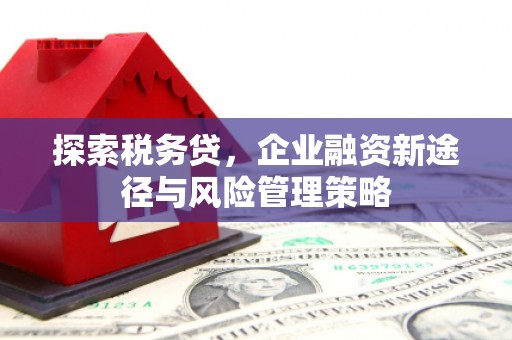 赣州探索税务贷，企业融资新途径与风险管理策略