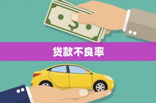 赣州贷款不良率