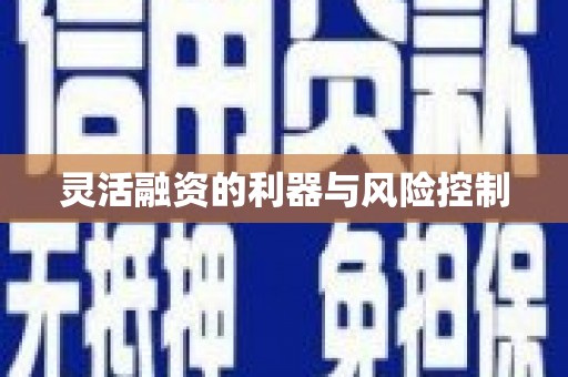 赣州灵活融资的利器与风险控制