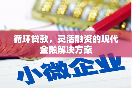 赣州循环贷款，灵活融资的现代金融解决方案