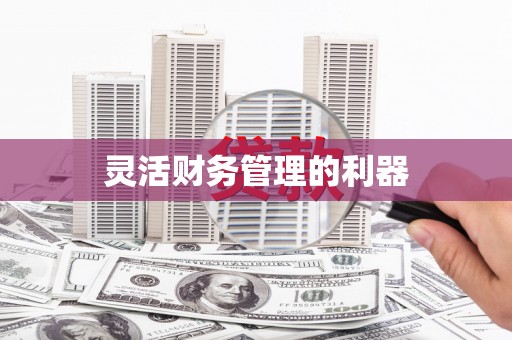 赣州灵活财务管理的利器
