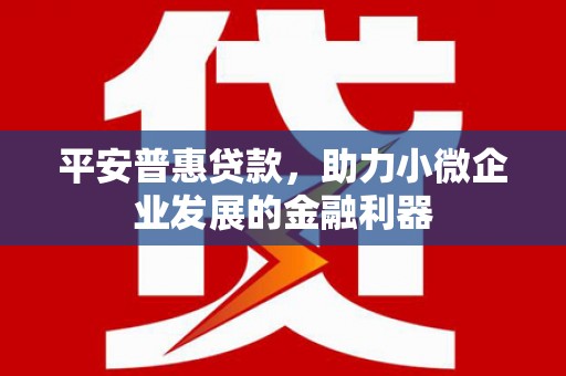 赣州平安普惠贷款，助力小微企业发展的金融利器