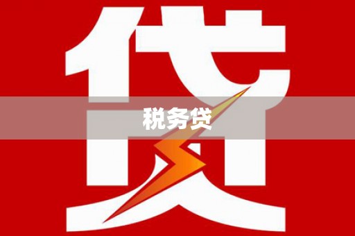 赣州税务贷