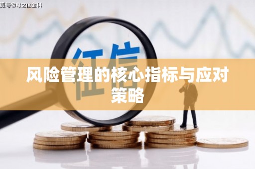 赣州风险管理的核心指标与应对策略