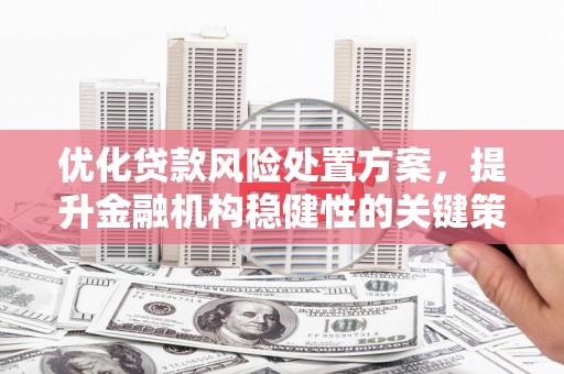 赣州优化贷款风险处置方案，提升金融机构稳健性的关键策略
