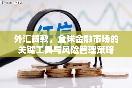 赣州外汇贷款，全球金融市场的关键工具与风险管理策略