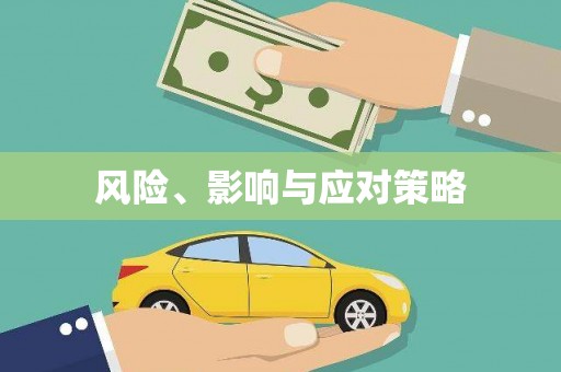 赣州风险、影响与应对策略