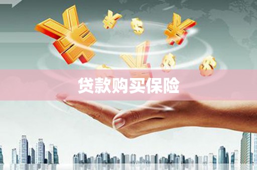 赣州贷款购买保险