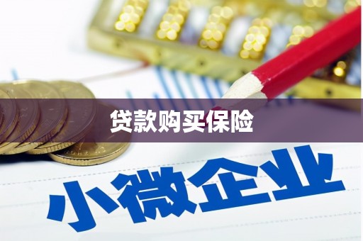 赣州贷款购买保险