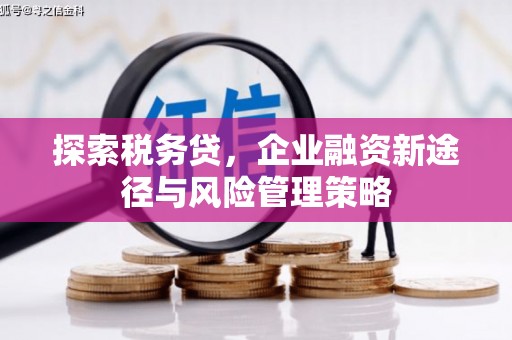 赣州探索税务贷，企业融资新途径与风险管理策略