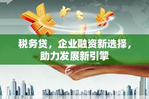 赣州税务贷，企业融资新选择，助力发展新引擎