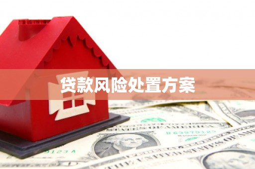 赣州贷款风险处置方案