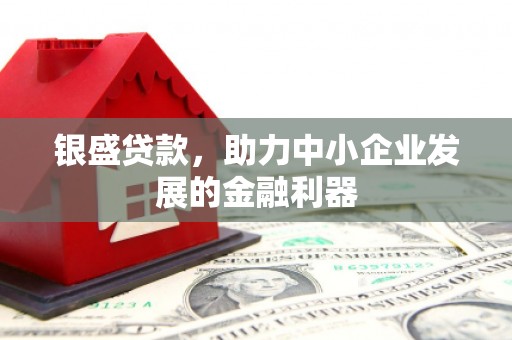 赣州银盛贷款，助力中小企业发展的金融利器