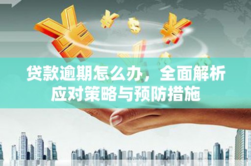 赣州贷款逾期怎么办，全面解析应对策略与预防措施