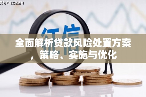 赣州全面解析贷款风险处置方案，策略、实施与优化