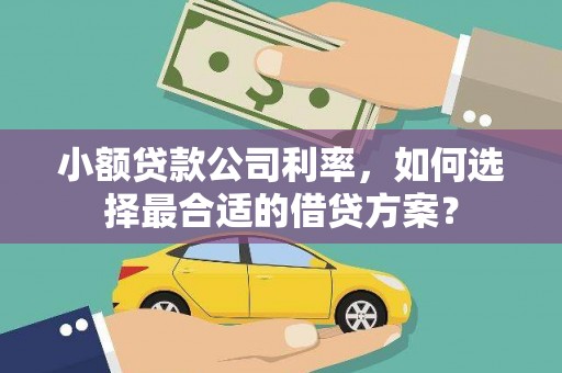 赣州小额贷款公司利率，如何选择最合适的借贷方案？