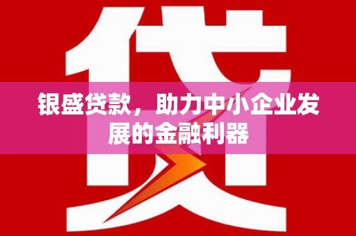 赣州银盛贷款，助力中小企业发展的金融利器