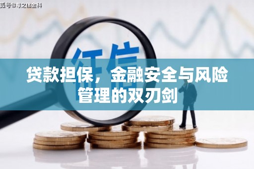 赣州贷款担保，金融安全与风险管理的双刃剑