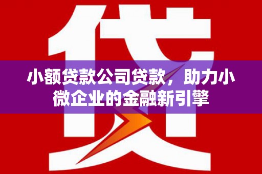 赣州小额贷款公司贷款，助力小微企业的金融新引擎
