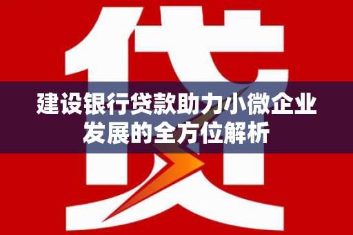 赣州建设银行贷款助力小微企业发展的全方位解析