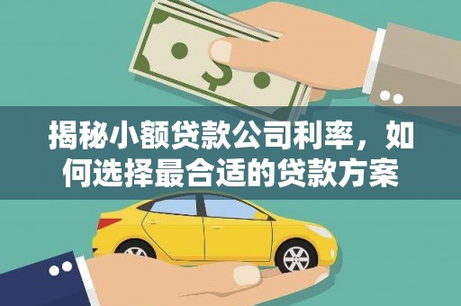 赣州揭秘小额贷款公司利率，如何选择最合适的贷款方案